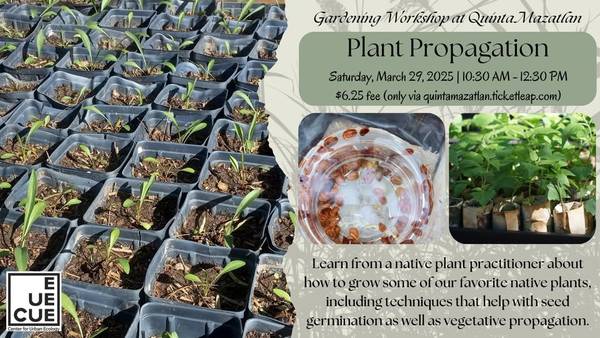 Plant Propagation (March 29, 2025)