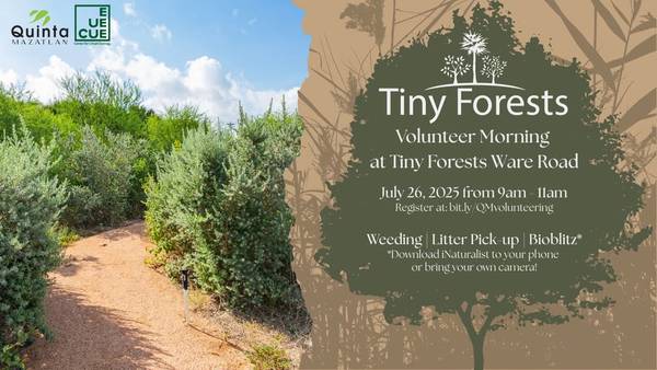 Tiny Forest Volunteer Morning (Ware Road forests)