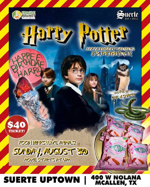 Happy Birthday Harry Potter! ⚡️ Immersive Dining Experience with Fragile Wildlife Park! 🕯🦉