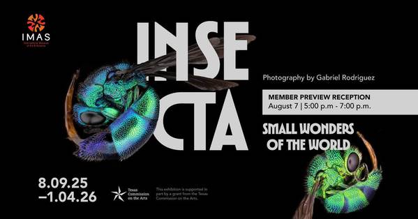 Member Reception | Insecta: Small Wonders of the World