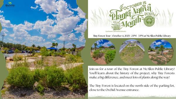 Tiny Forest Tour at McAllen Public Library