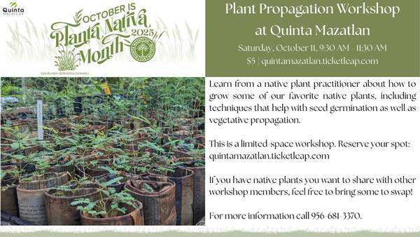 Plant Propagation Workshop