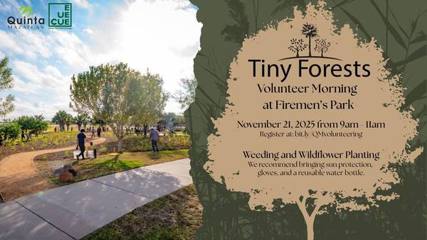 Tiny Forest Volunteer Morning: Firemen's Park