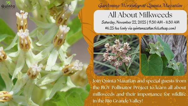 All About Milkweeds Workshop